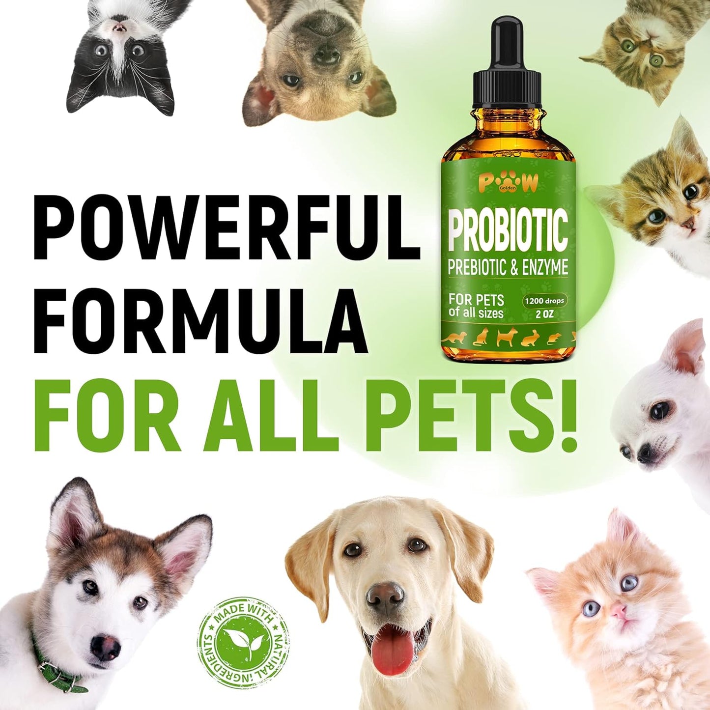 Liquid Probiotics for Dogs & Cats | Probiotics for Dogs | Probiotic for Dogs | Cat Probiotic Supplements | Dog Probiotics | Cat Probiotic | Dog Probiotic | Probiotic for Dogs & Cats | 2 Oz
