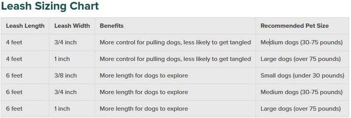 Petsafe Nylon Dog Leash - Strong, Durable, Traditional Style Leash with Easy to Use Bolt Snap - 1 In. X 6 Ft., Deep Purple