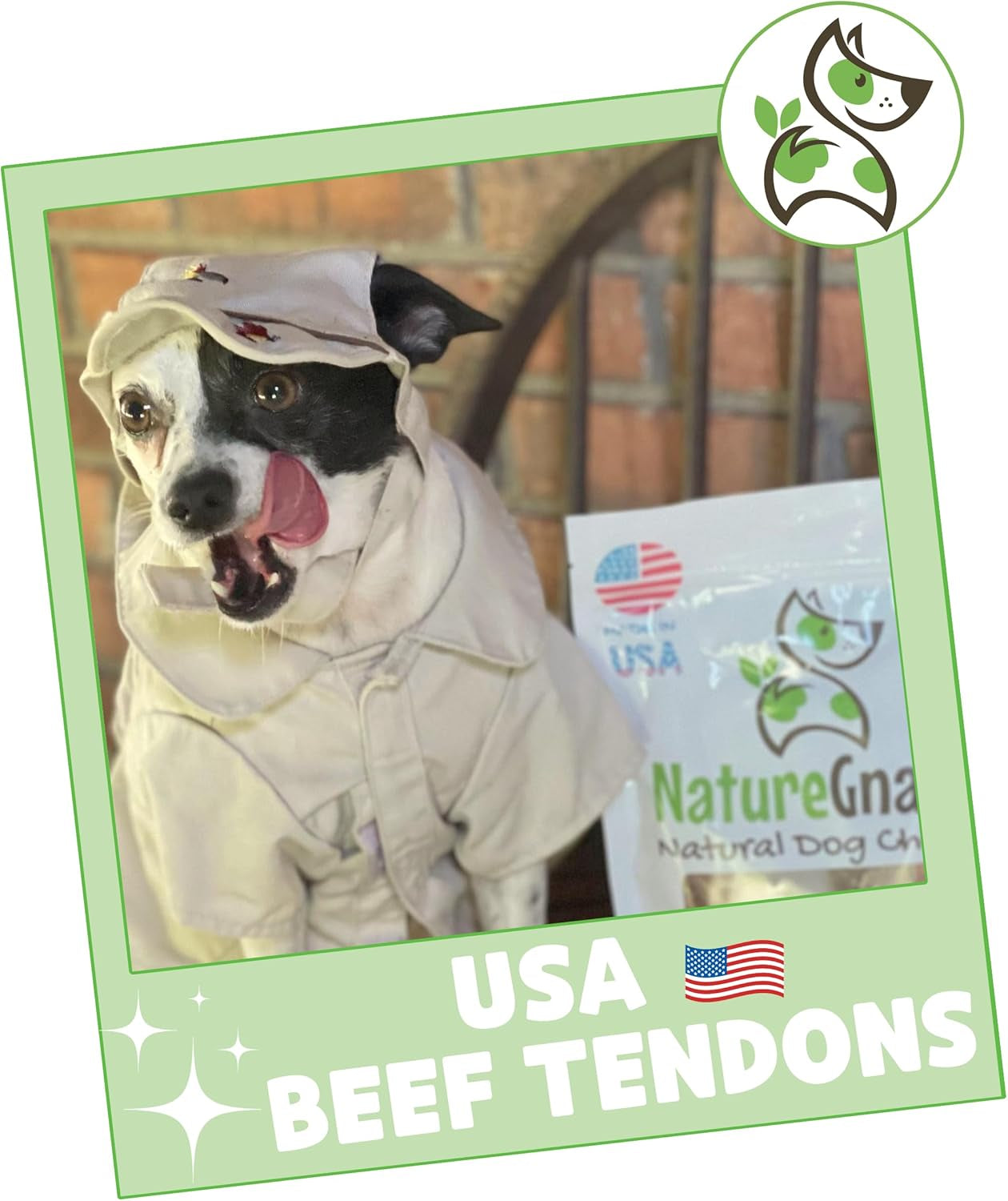 Nature Gnaws USA Beef Tendons for Dogs (8oz) - Mixed Thickness - Long Lasting for Aggressive Chewers - Premium Natural Beef Dog Chew Treats - Rawhide Free