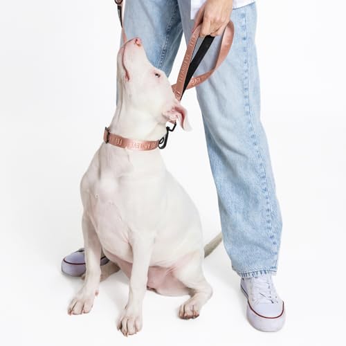 2026 New Edition, Fei & Eve MagEase Dog Collar - Patented Magnetic Buckles | Fur-Safe | Premium 210D Nylon | 450LB Escape-Proof | Adjustable Fit | Large (Blush)