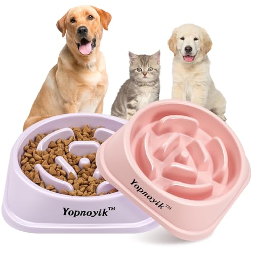2 Pack Slow Feeder Dog Bowls for Medium Dogs & Cats