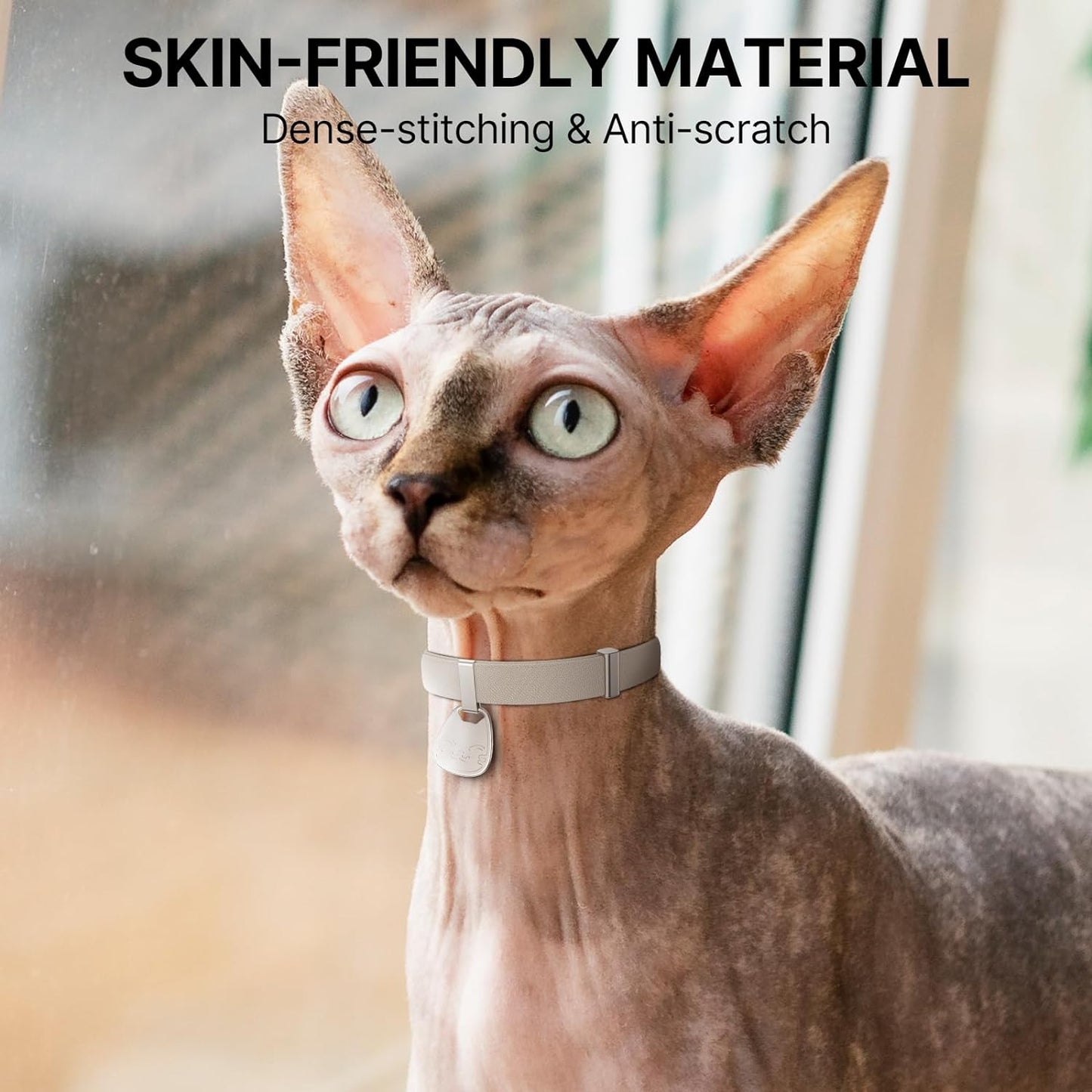 Cat Collar with Name Tag Breakaway: Reflective Kitten Collars with QR Code ID Tag for Girl Boy Cats, Ultra Soft & Elastic Adjustable (6"-12") Cat Collar with Break Away Safety Buckle, Purple