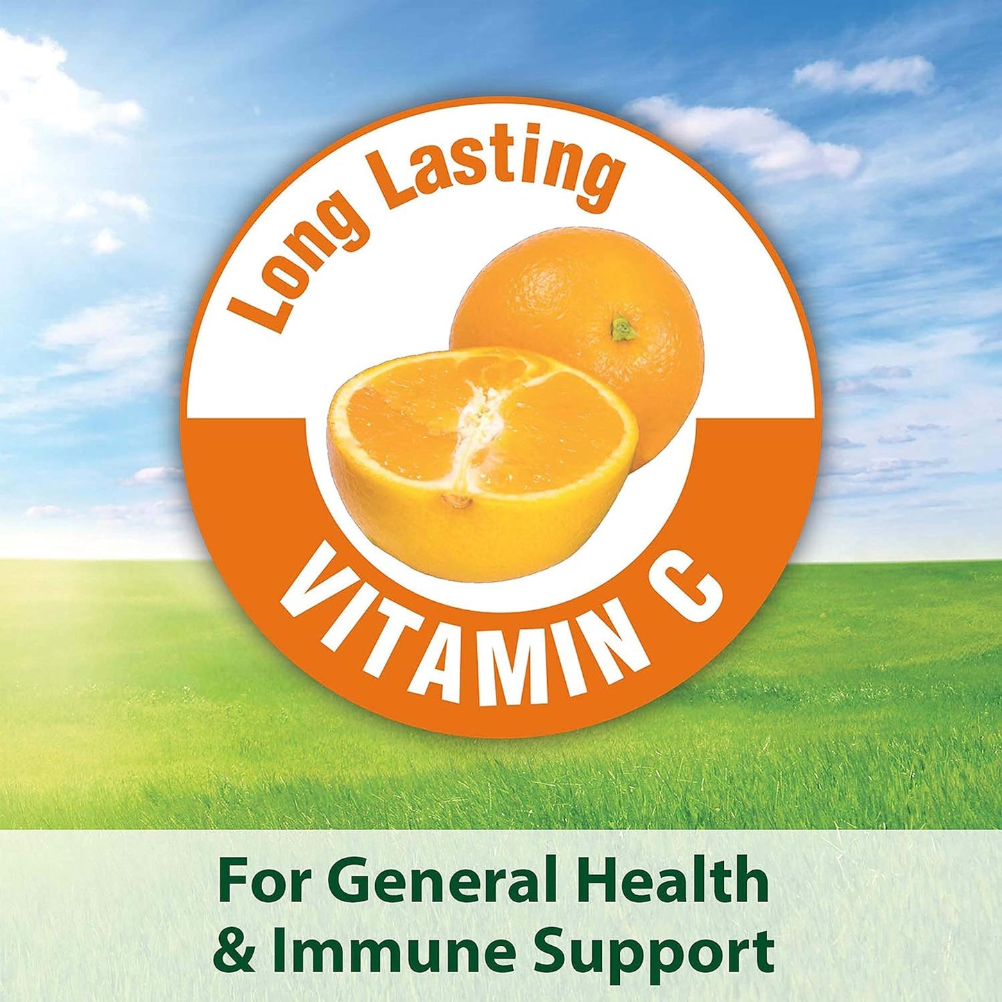 Kaytee Fiesta Guinea Pig Food, 2.5-Pound