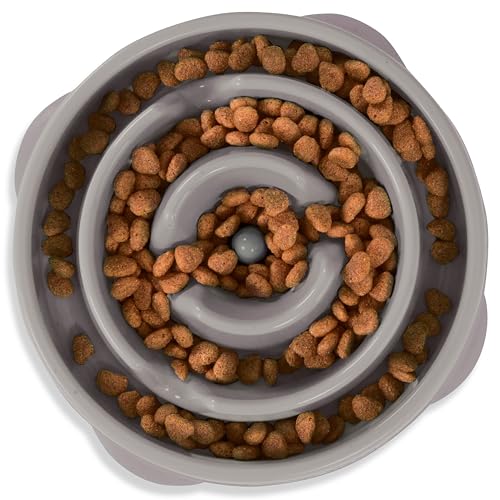 Outward Hound Fun Feeder Slo Bowl Dog Slow Feeder, Drop, Gray, 8.8"