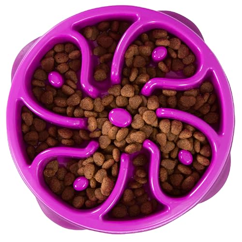 Outward Hound Fun Feeder Slo Bowl Dog Slow Feeder, Flower, Purple, 8.5" | Slows Fast Eaters, Can Aid Digestion, Holds 2 Cups Dry or Wet Food, Non-Slip, Easy Clean, No BPA, Small to Medium Dogs & Cats