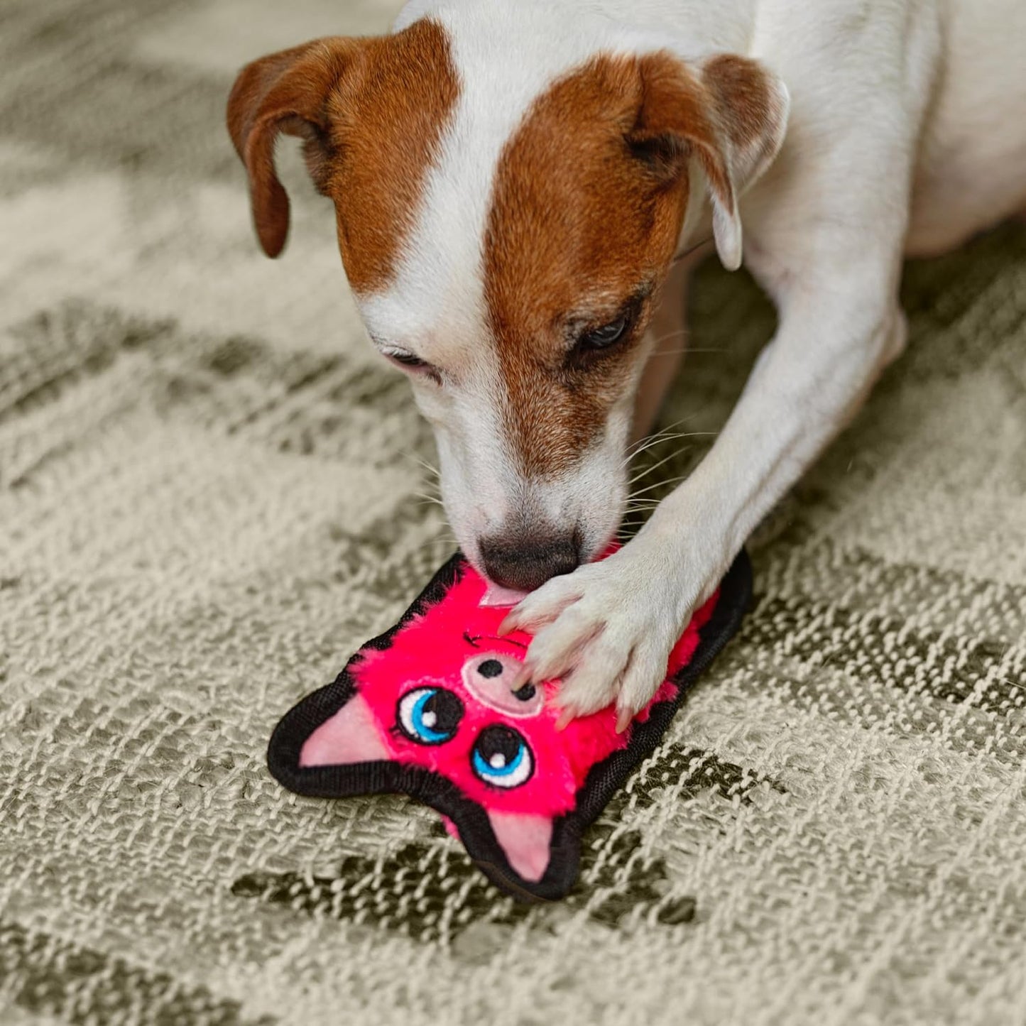 Outward Hound Durablez Tough Plush Squeaky Dog Toy, Owl, Purple, XS