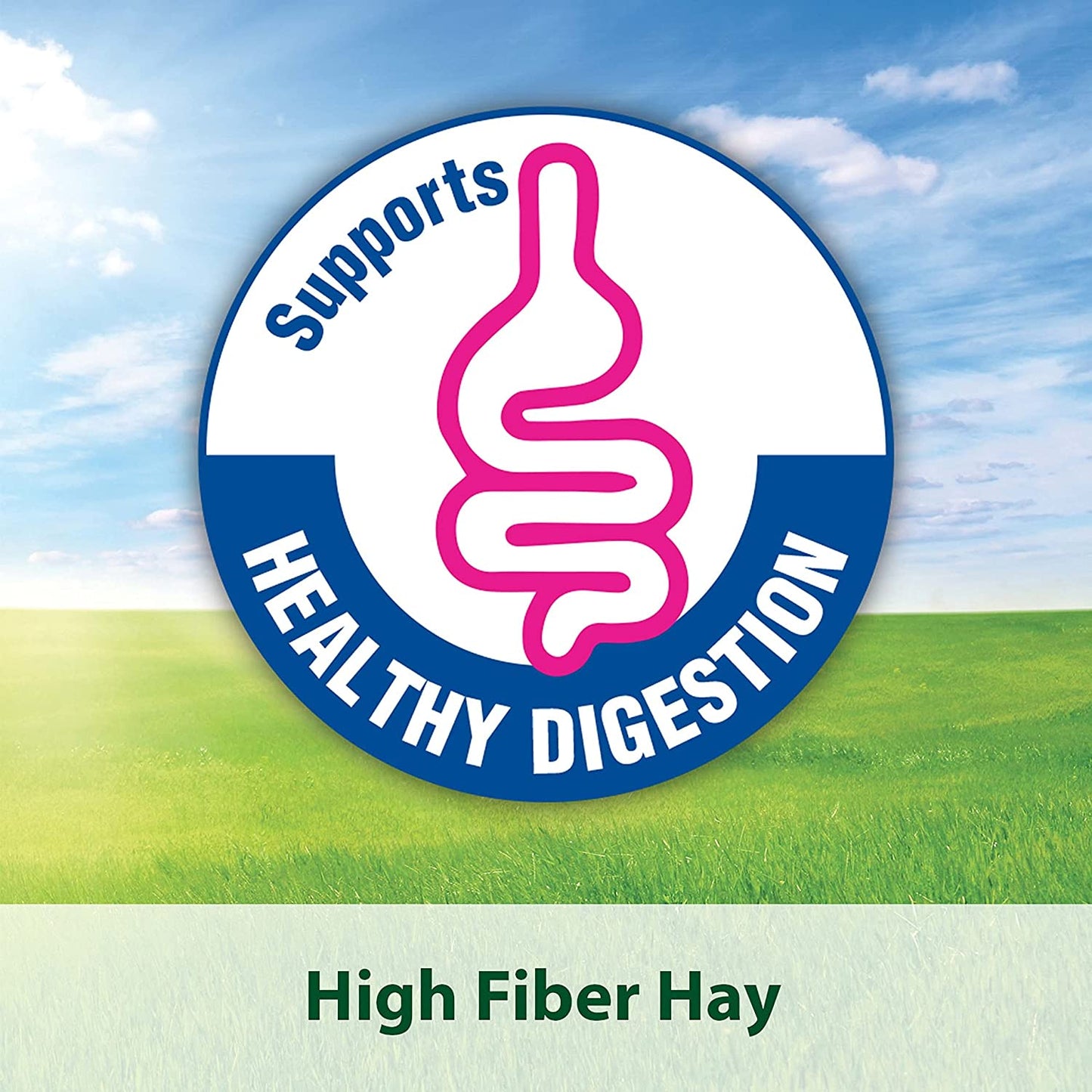 Kaytee All Natural Timothy Hay for Guinea Pigs, Rabbits & Other Small Animals, 12 Pound