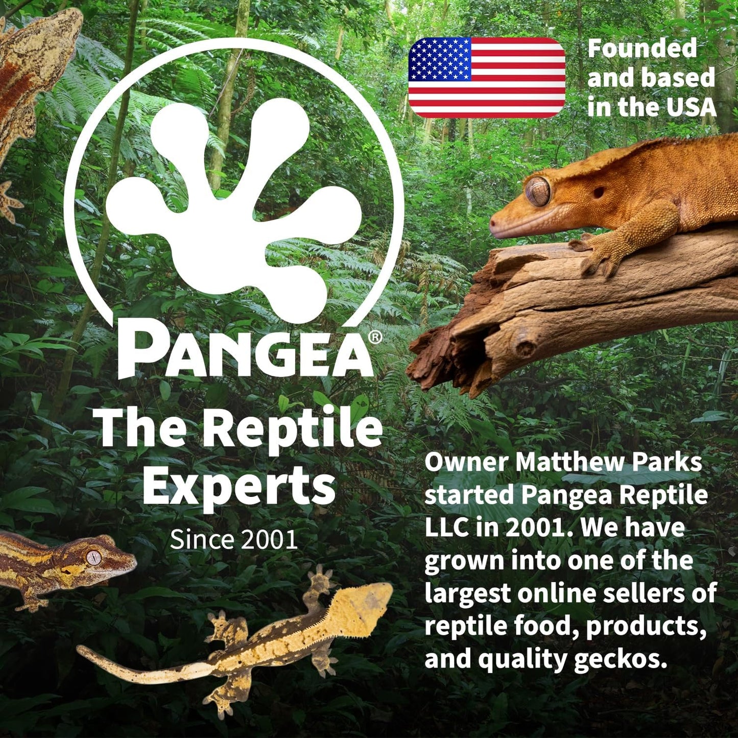 Pangea Fruit Mix with Insects Crested Gecko Complete Diet 2 oz