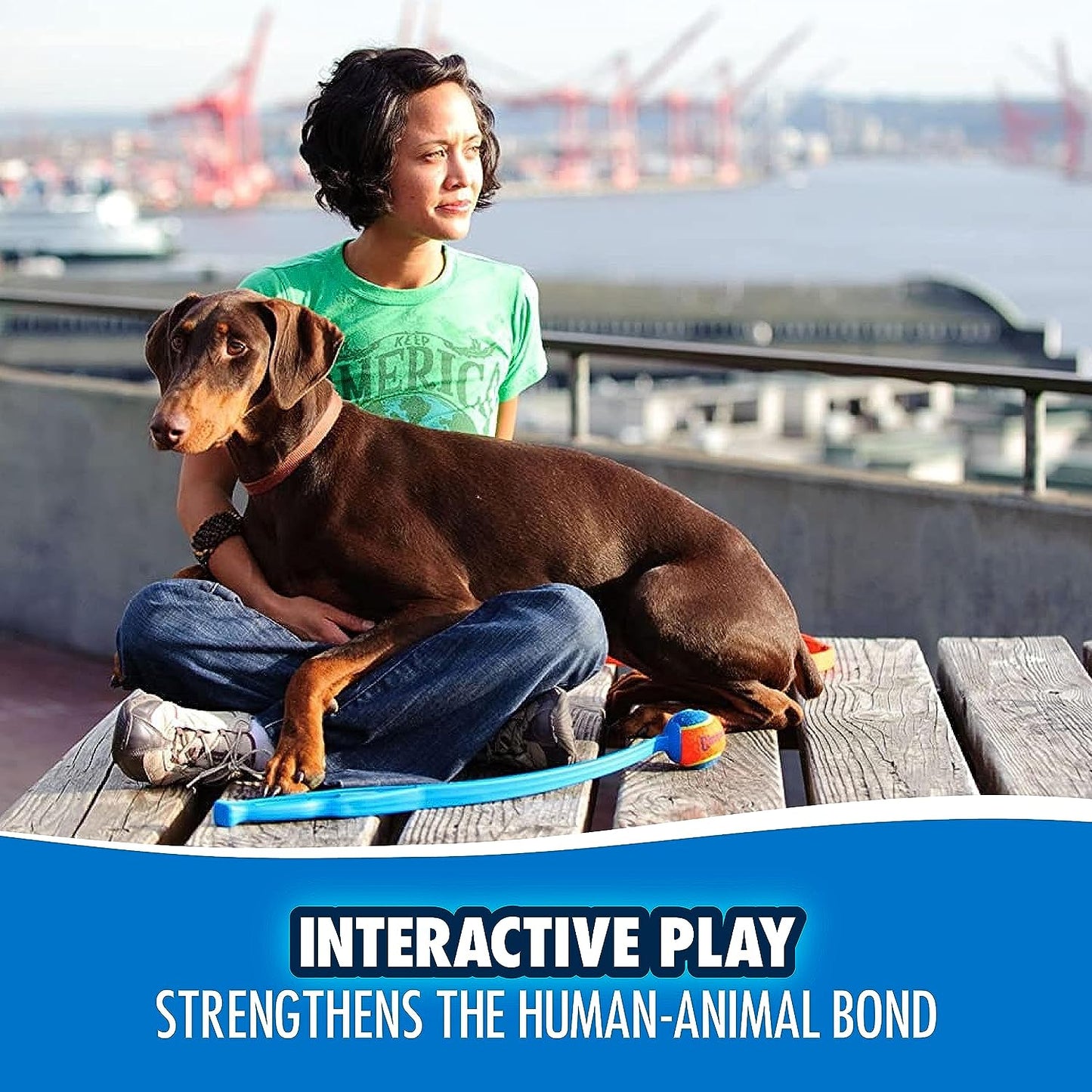 Chuckit Pro 18M Dog Ball Launcher, 18" Length, Includes Medium Ball (2.5") for Dogs 20-60 Pounds