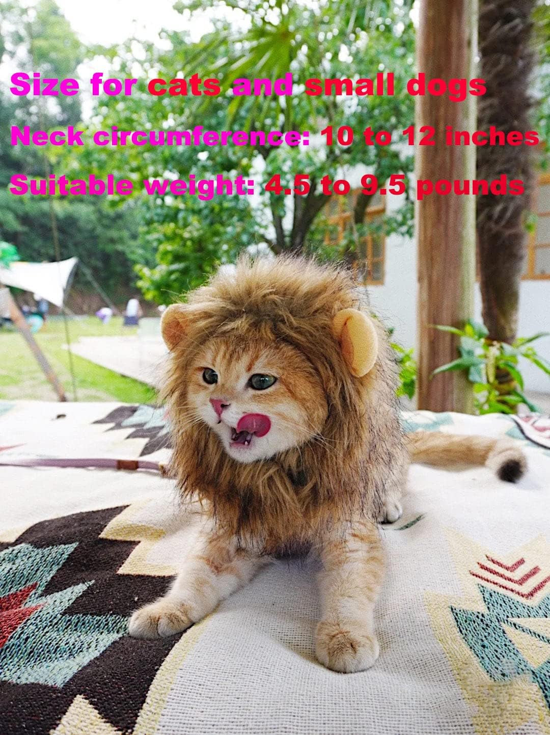 Lion Mane Wig for Cat Costume Pet Adjustable Washable Comfortable Fancy Lion Hair Cat Clothes Dress for Halloween Christmas Easter Festival Party Activity (Large, Black)
