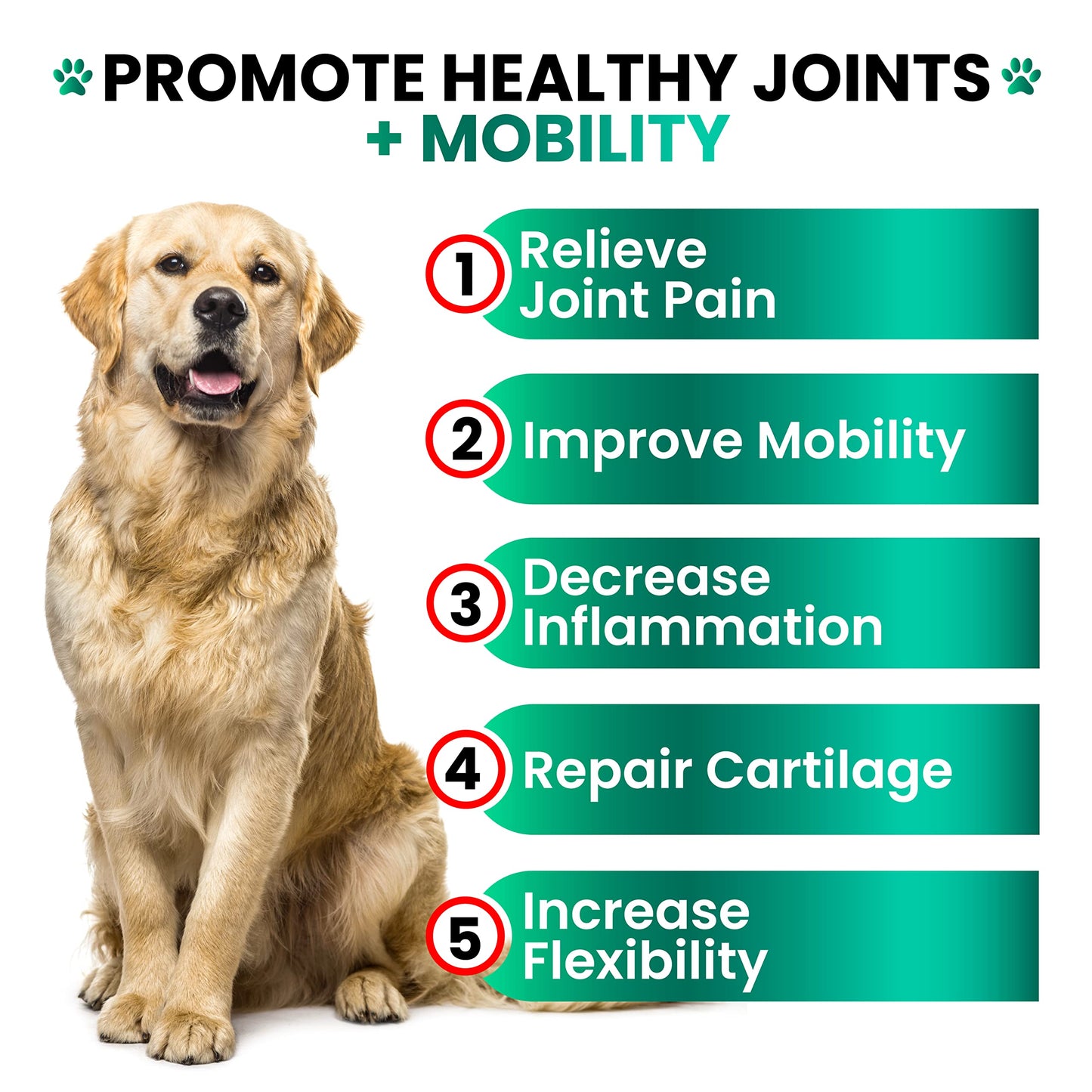 Hemp Hip and Joint Supplement for Dogs - Glucosamine for Dogs - 170 Joint Pain Relief Treats - Chondroitin, MSM, Hemp Oil - Advanced Health Supplement - Mobility Support Chews - Made in USA