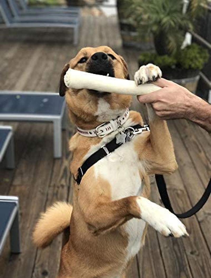 Retriever roll 9-10 inch All Natural Rawhide Product (20 Pack)