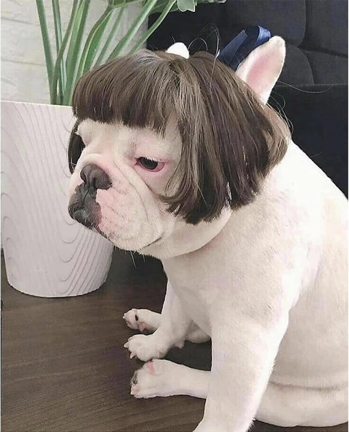 Funny Dog Cat Cosplay Wig,Pet Wigs for Halloween, Christmas, Parties, Festivals, Dog Wigs for Small Medium and Large Dogs (Black Brown Straight)