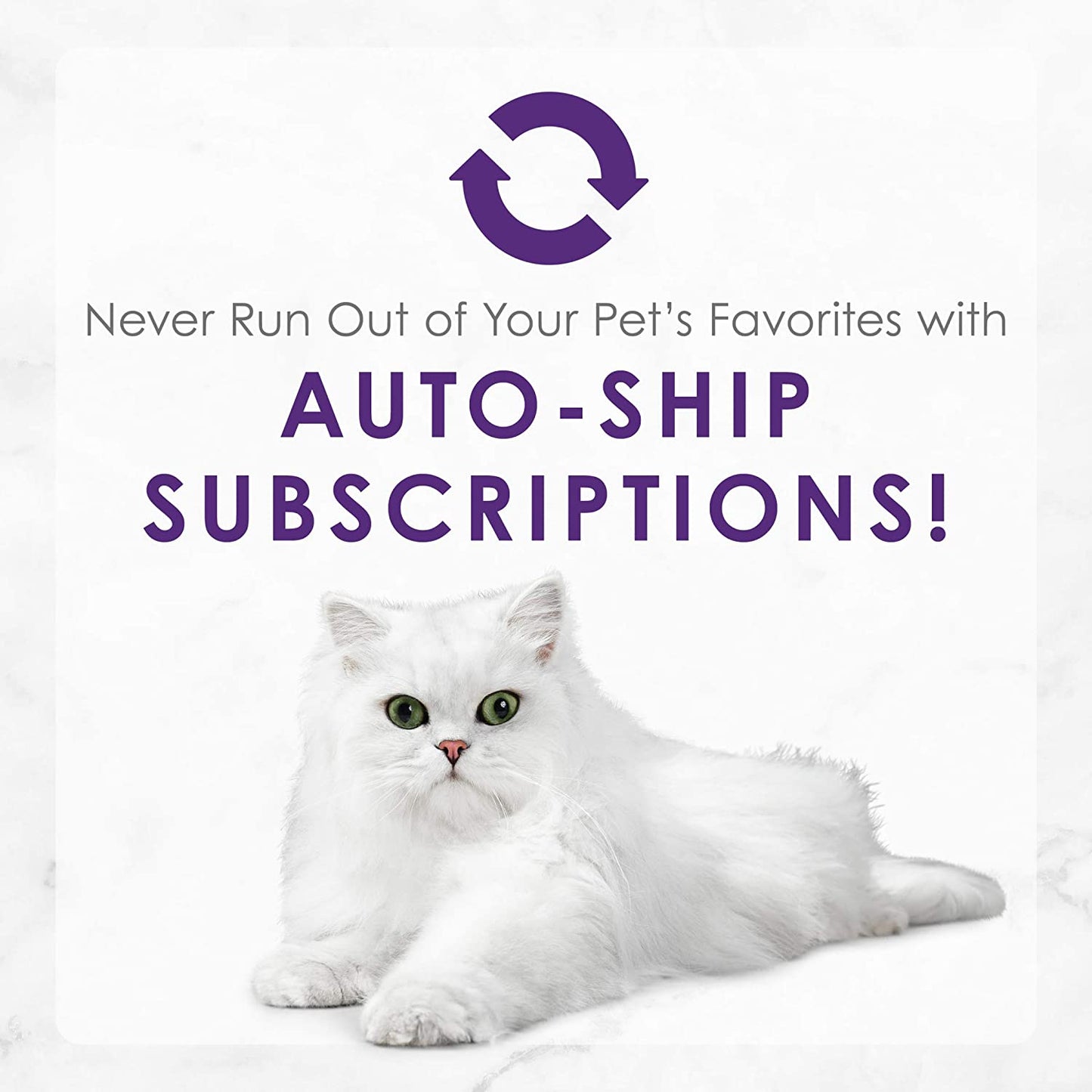 Purina Fancy Feast Delights with Cheddar Grilled Chicken, Turkey or Whitefish and Cheddar Cheese Feast in Gravy Wet Cat Food Variety Pack - (Pack of 24) 3 Oz. Cans