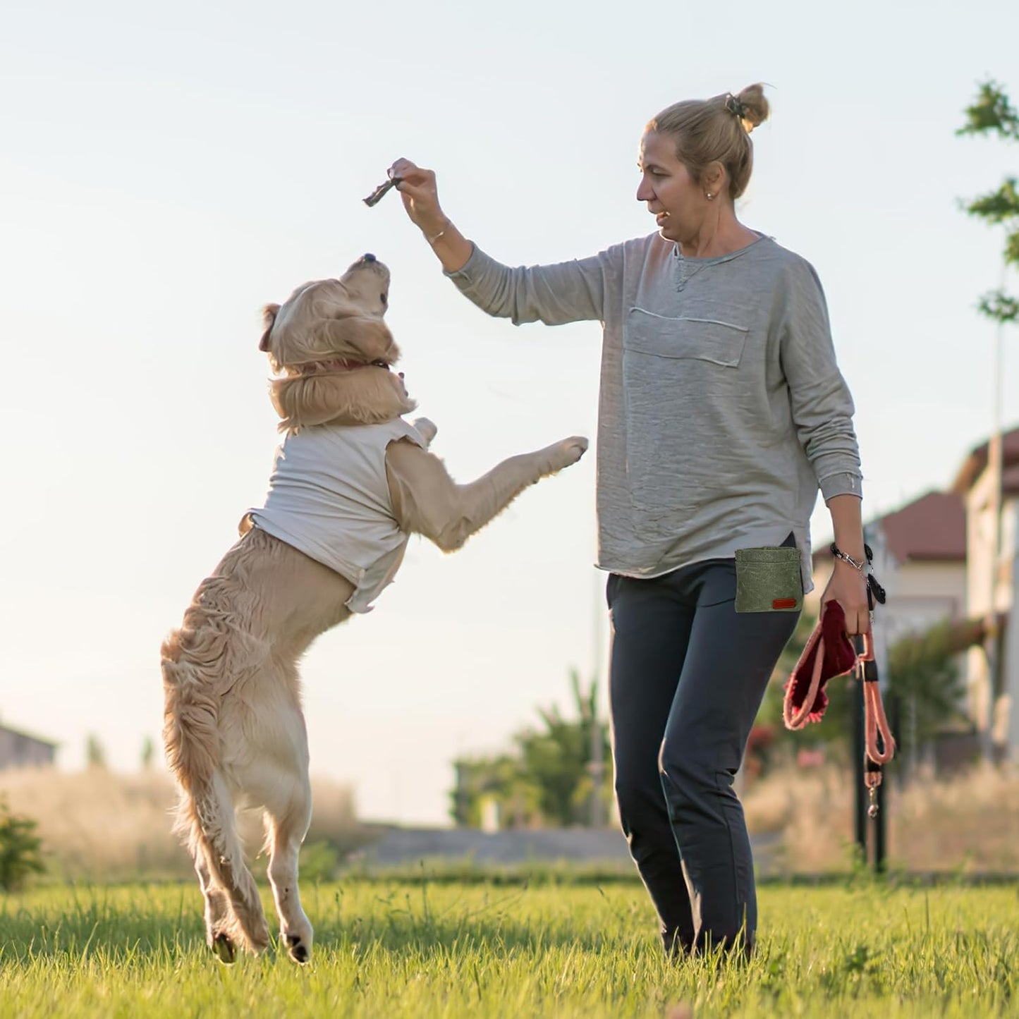 Dog Treat Pouch Training Kit, Small Puppy Treat Bag with Clip for Leash, Hands Free Auto Closure Pouches with Dog Clicker and Silent Whistle for Pet Training