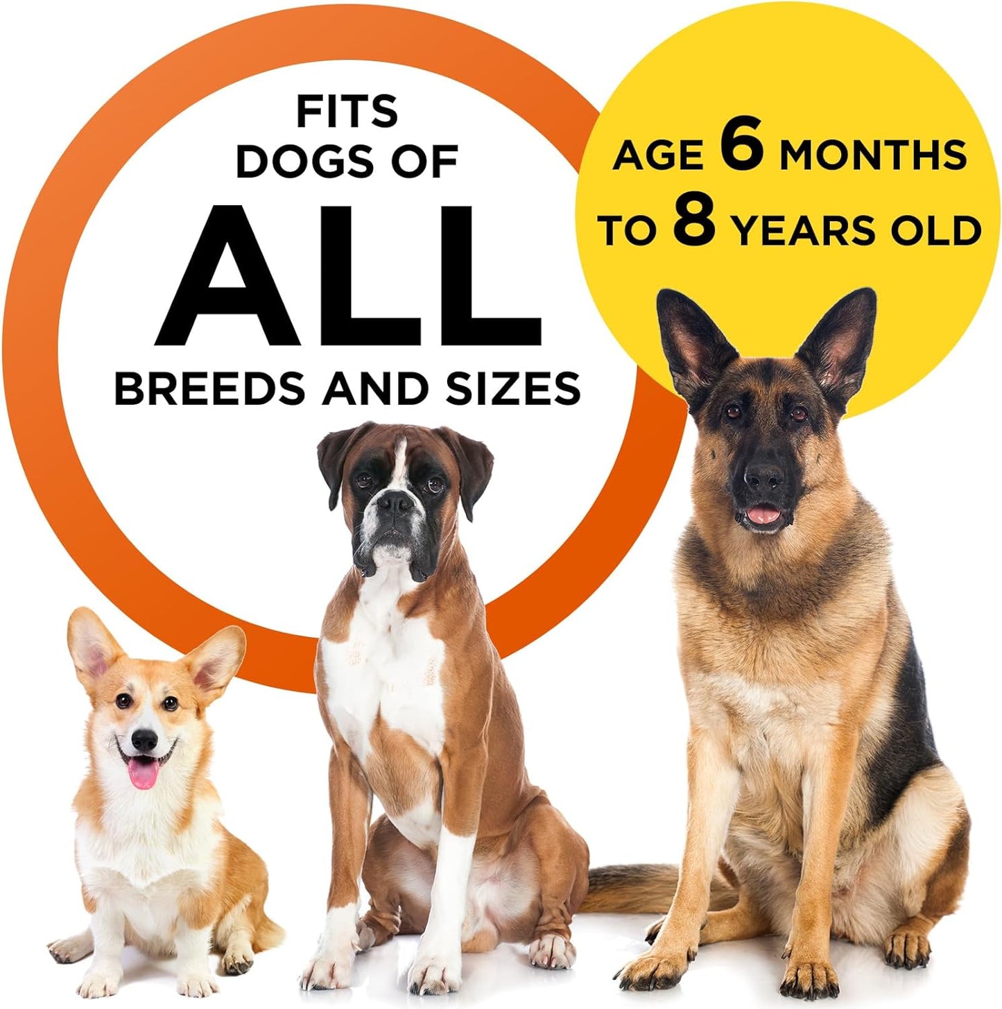 2024 Dog Bark Deterrent Device, Anti-Bark Device for Dog Training & Behavior Aid, No Need to Yell or Pat, Simply Point at the Dog within 35Ft, Ultra-Bright LED Flashlight | Bark Collar Alternative