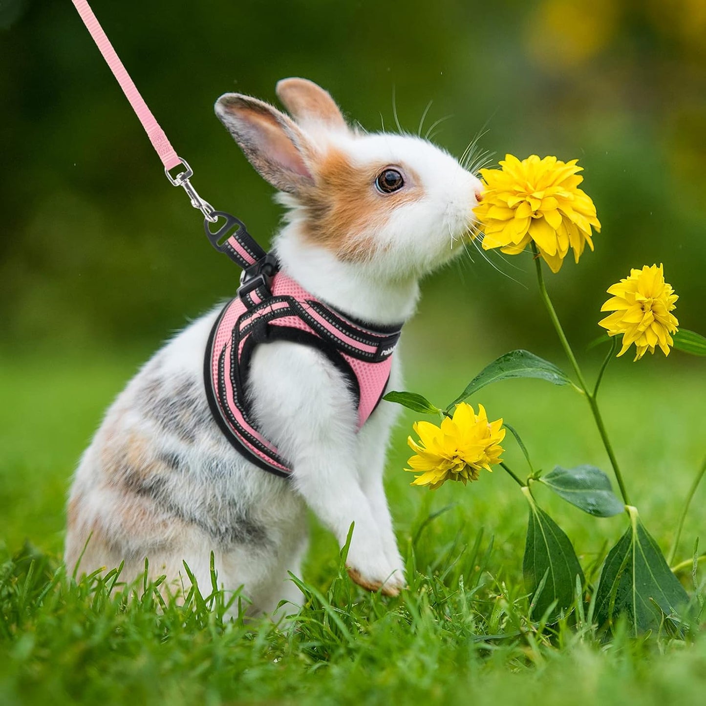 Rabbitgoo Cat Harness and Leash Set for Walking Escape Proof, Adjustable Soft Kittens Vest with Reflective Strip for Cats, Comfortable Outdoor Vest, Bright Yellow, S