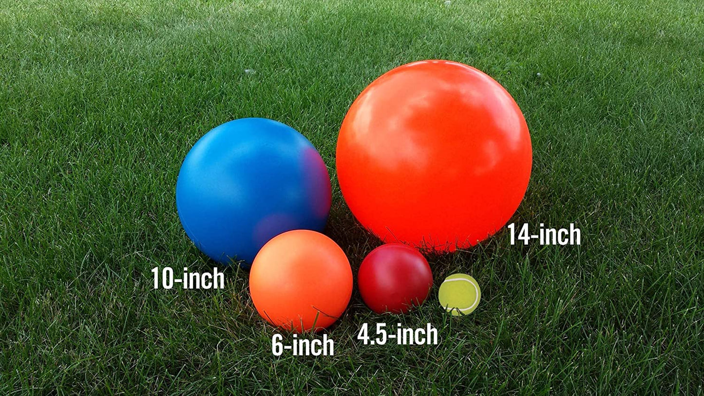 Virtually Indestructible Best Ball for Dogs, 10-Inch