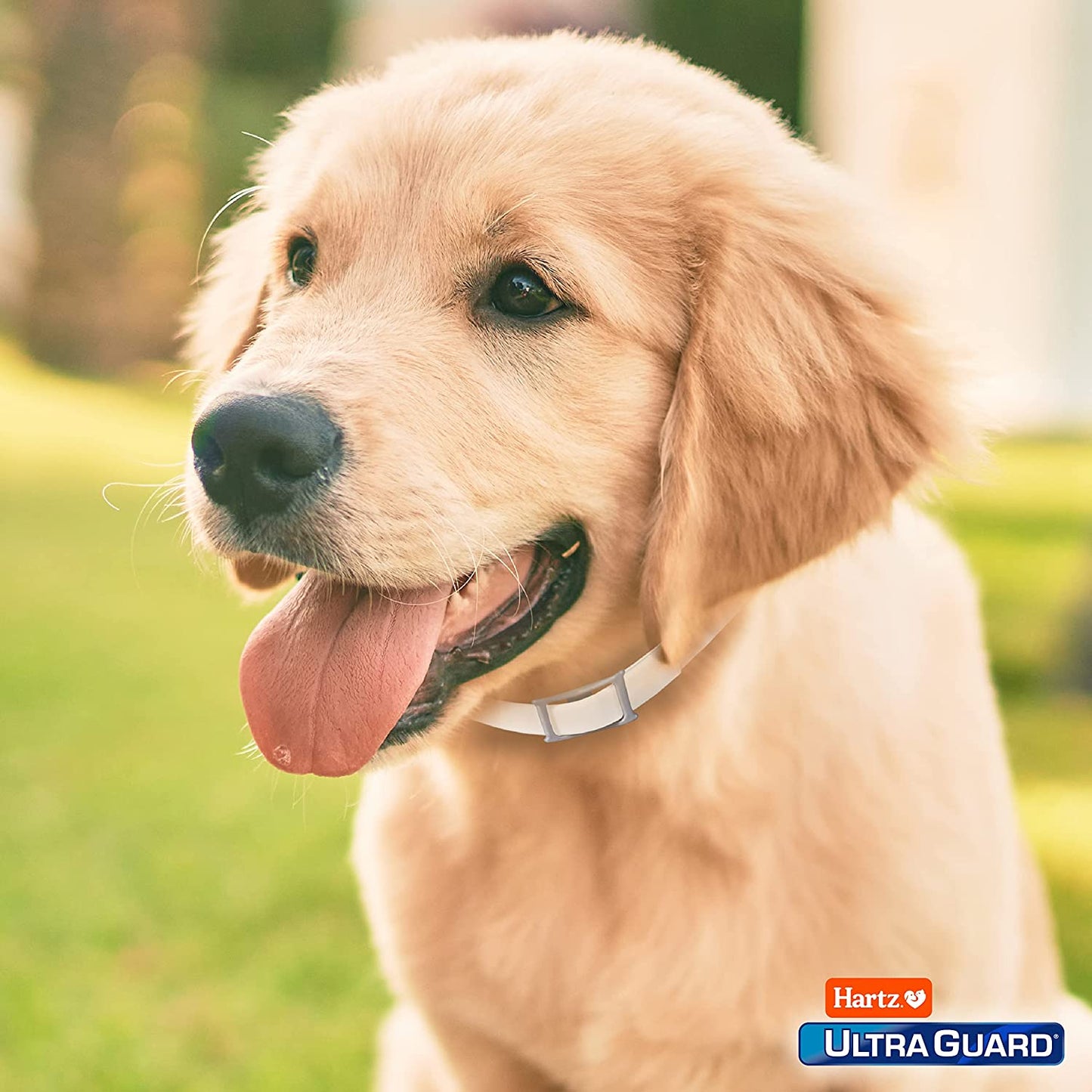 Hartz Ultraguard Flea & Tick Collar for Dogs and Puppies - 26" Neck, 7 Month Protection