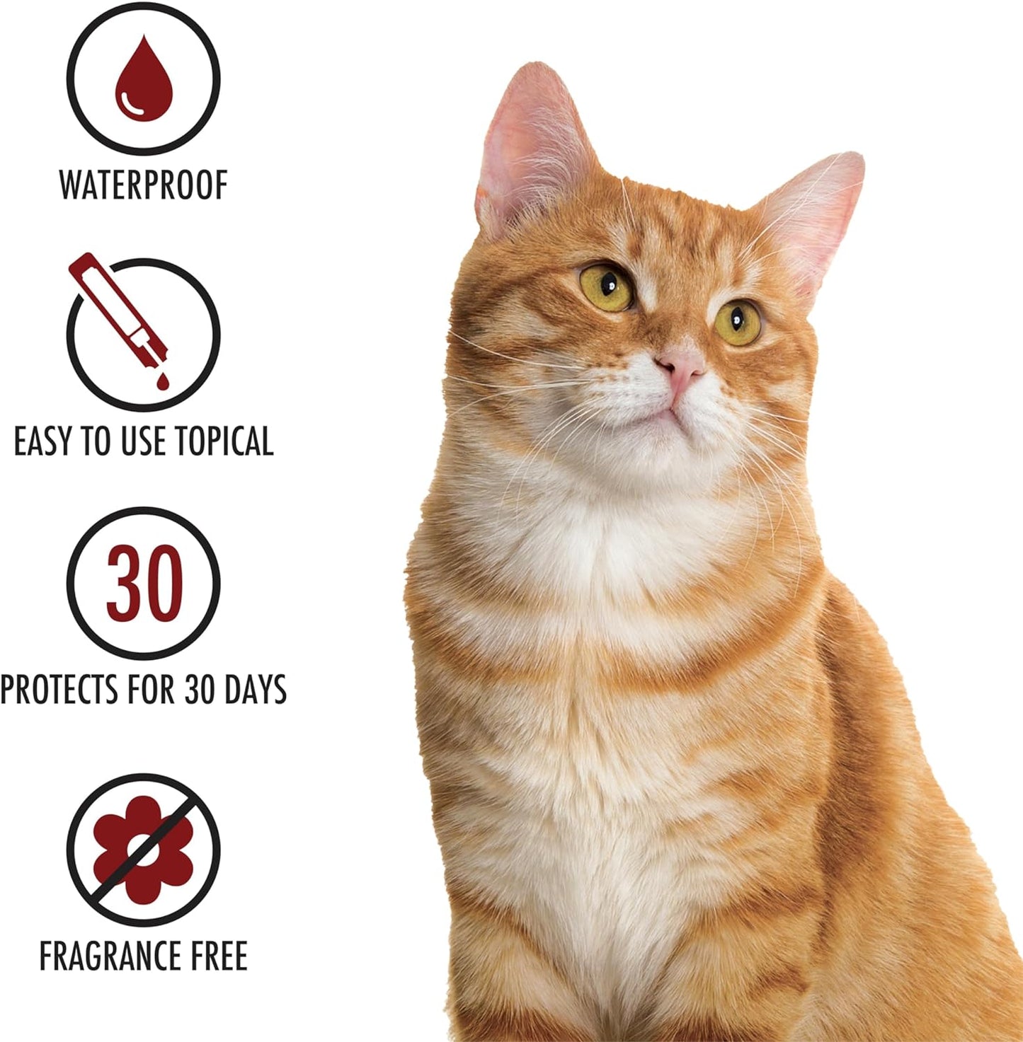 Plus Flea Prevention for Cats, Cat and Kitten Treatment & Control, Small and Large, Fast Acting Waterproof Topical Drops, 4 Month Supply