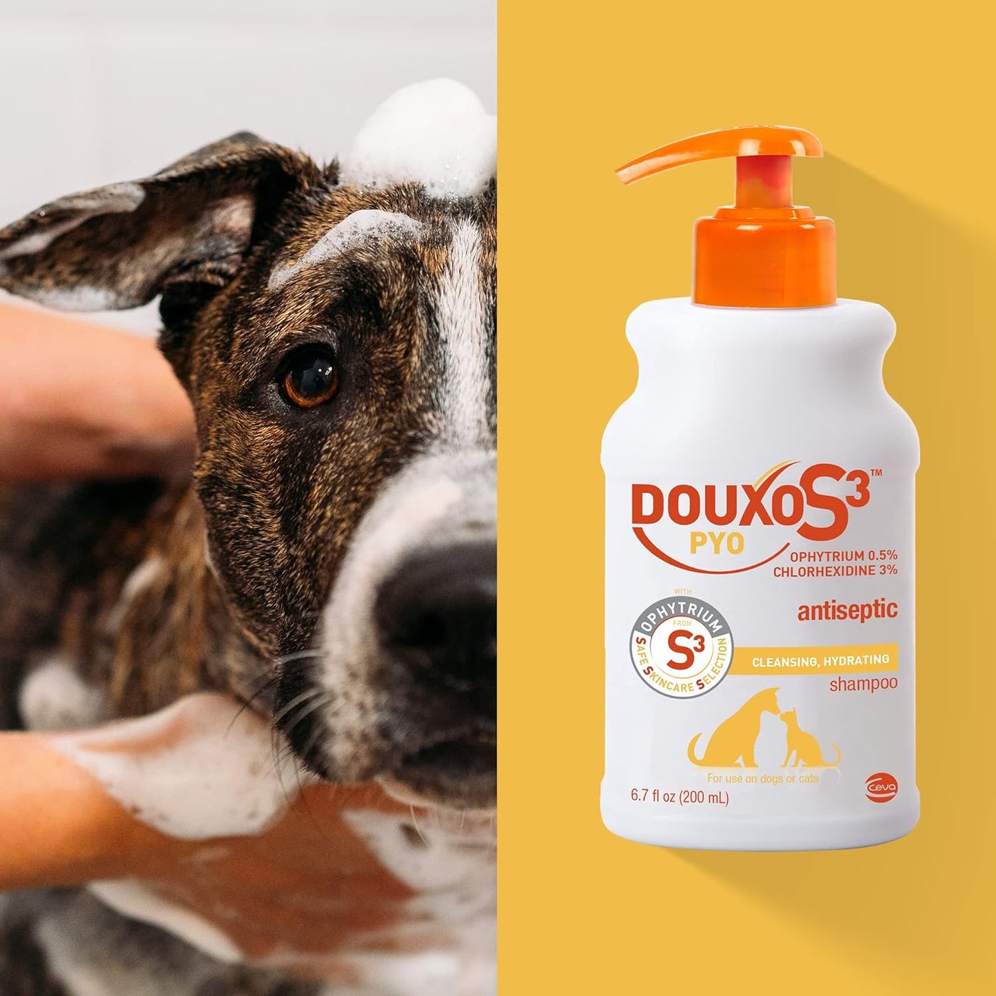 Douxo S3 PYO Shampoo 6.7 Oz (200 Ml)