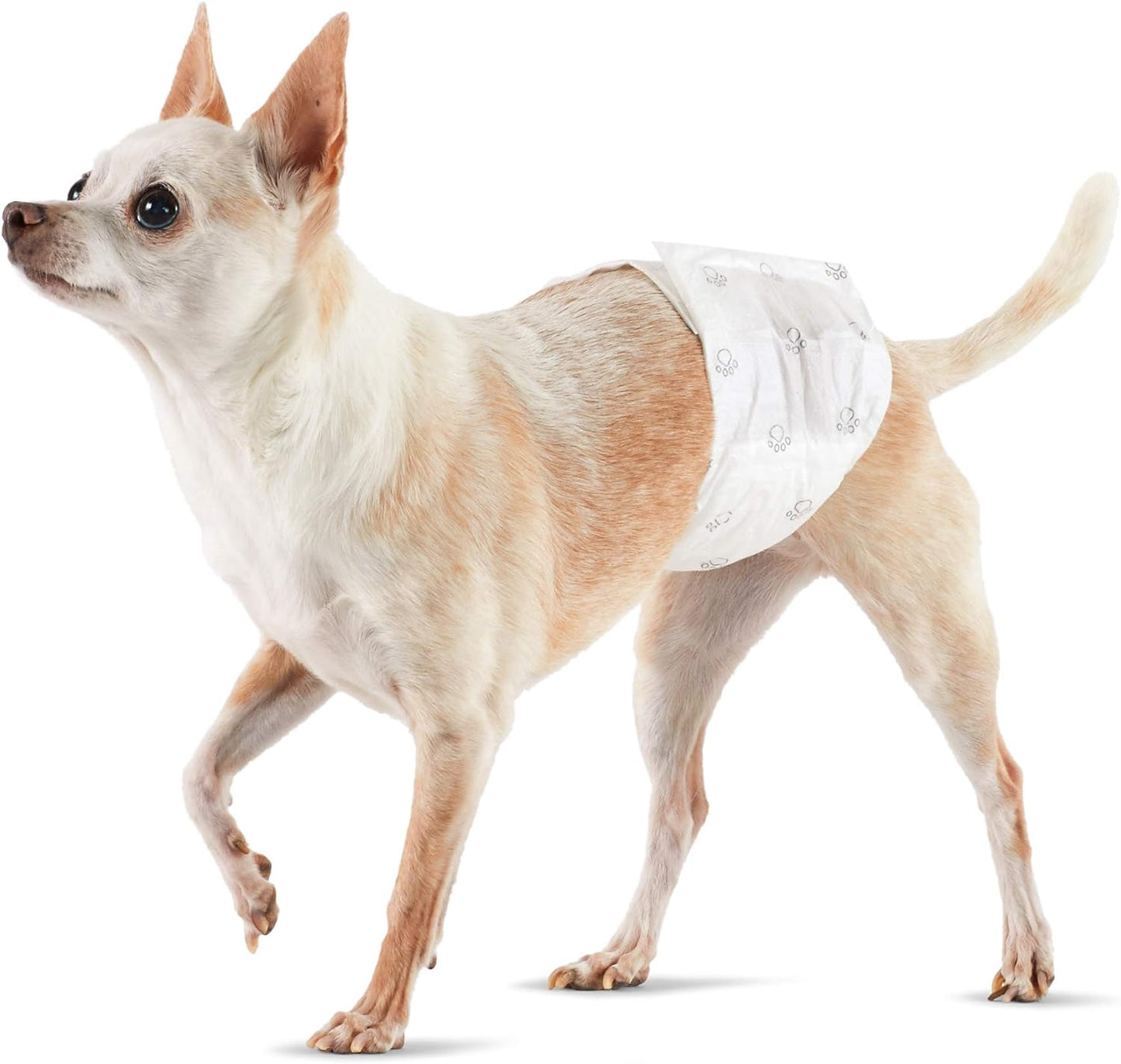 Amazon Basics Male Dog Wrap, Disposable Diapers, Small, Pack of 30, White