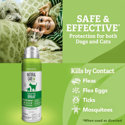 Flea and Tick Spray for Dogs and Cats - Flea & Tick Treatment for Dogs and Cats - Flea & Tick Killer with Certified Natural Oils - 14 Ounces