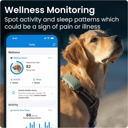 Tractive XL GPS Tracker & Health Monitoring for Dogs (50 Lbs+) - Market Leading Pet GPS Location Tracker | Wellness & Escape Alerts | Waterproof | Works with Any Collar (Adventure Edition)