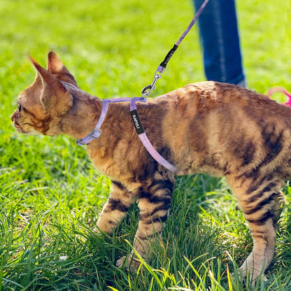 Cat Harness and Leash Set, Adjustable Gradient Kitten Harness Escape Proof Harness with Leash for Kitty Outdoor Walking (Sky Blue)