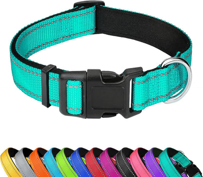 Reflective Dog Collar, Adjustable Soft Neoprene Padded Nylon Pet Collars with Buckle for Small Dogs, Sky Blue,S