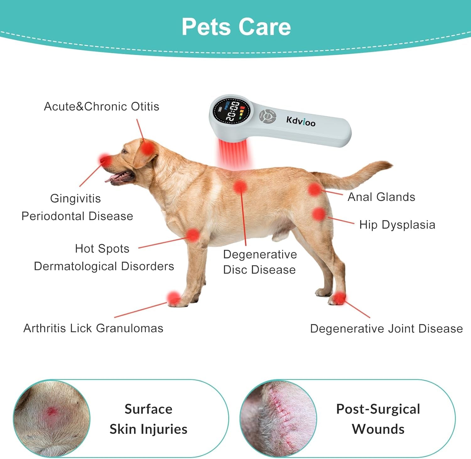 Cold Laser Therapy Device for Dogs,4x980nm+16x660nm+4x810nm Low Level Laser Therapy,Handheld Laser Therapy Device,Pet Laser Therapy for Dogs Cats Muscle & Joint Pain Relief,Reduce Inflammation