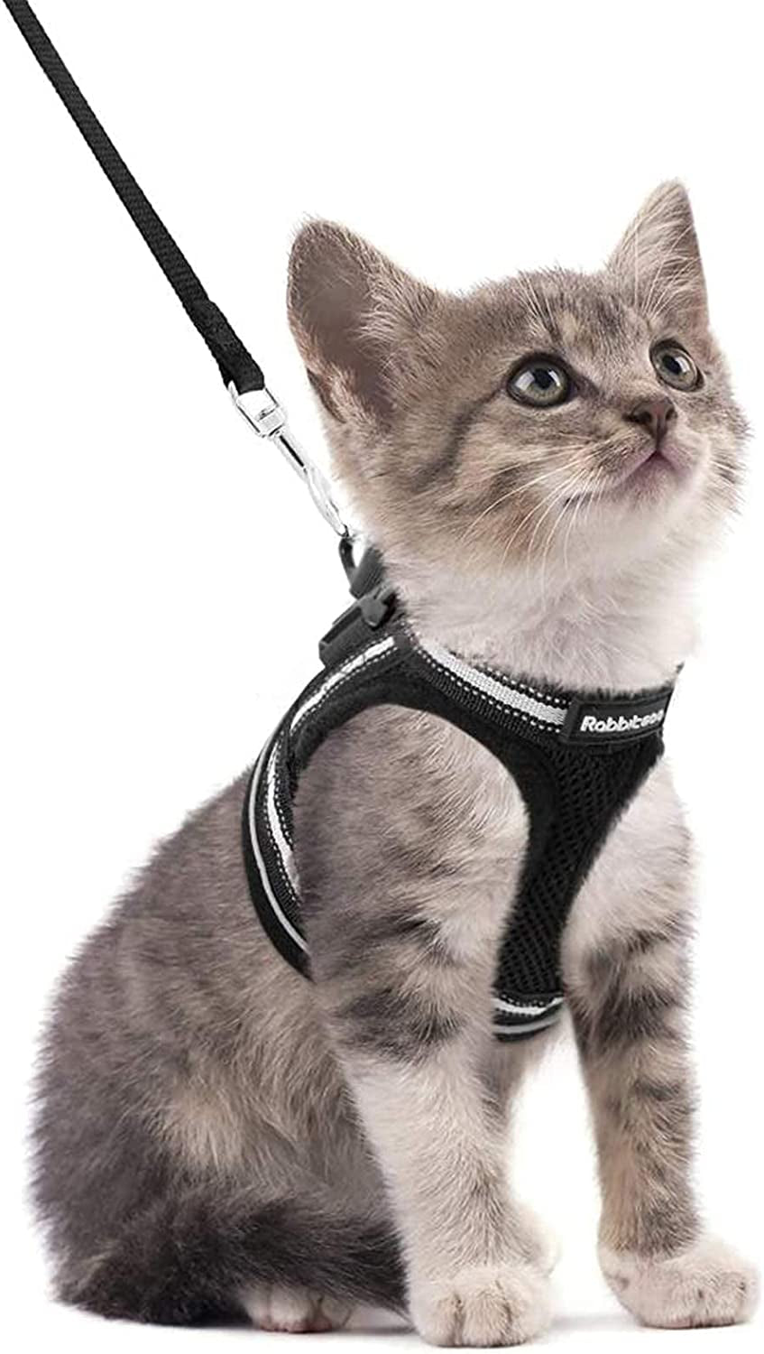 Rabbitgoo Cat Harness and Leash Set for Walking Escape Proof, Adjustable Soft Kittens Vest with Reflective Strip for Cats, Comfortable Outdoor Vest, Black, S