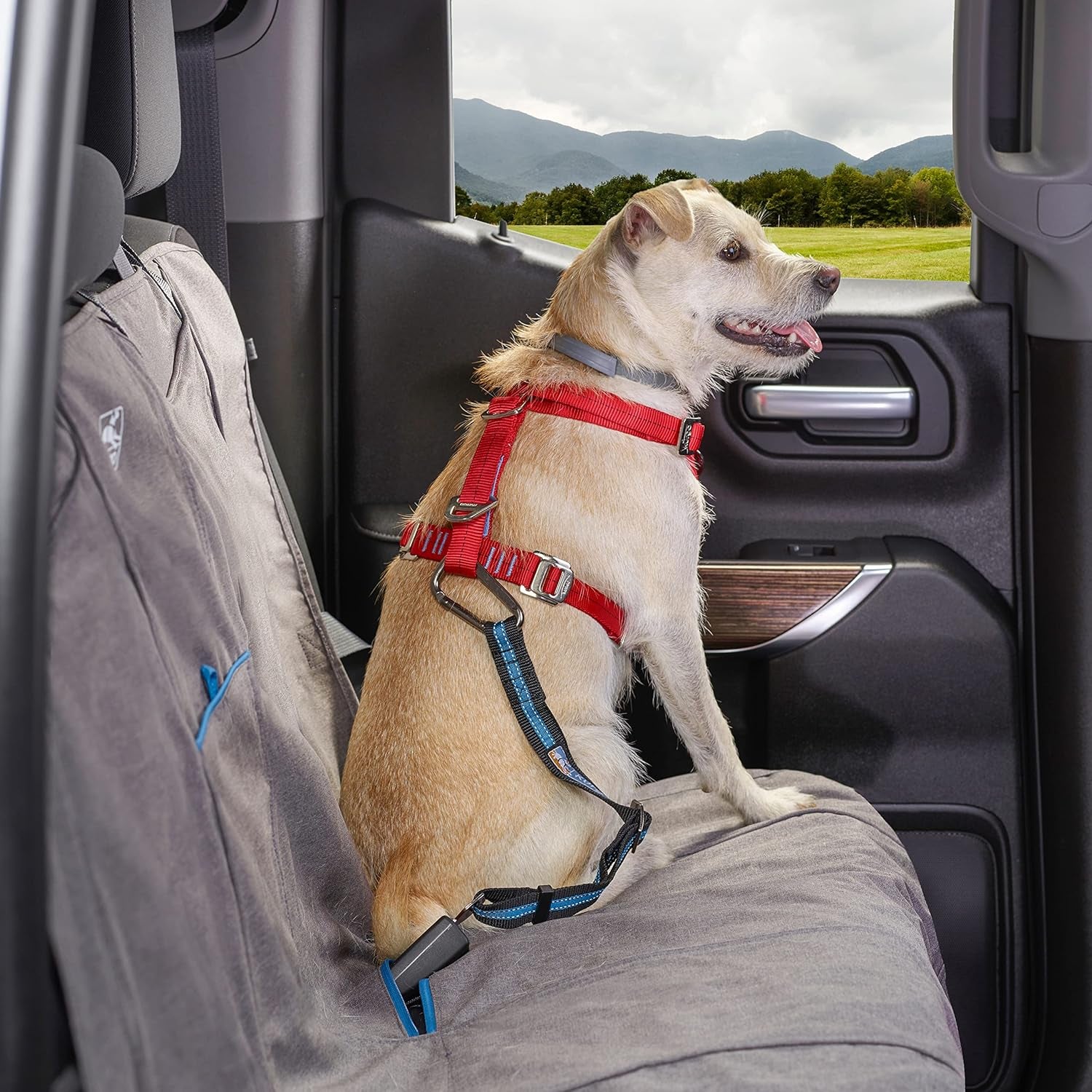 Kurgo Direct to Seat Belt Tether for Dogs, Universal Car Seat Belt for Pets, Adjustable Length Dog Safety Beltquick & Easy Installation, Carabiner Attachmentcompatible with Any Pet Harness |Blue