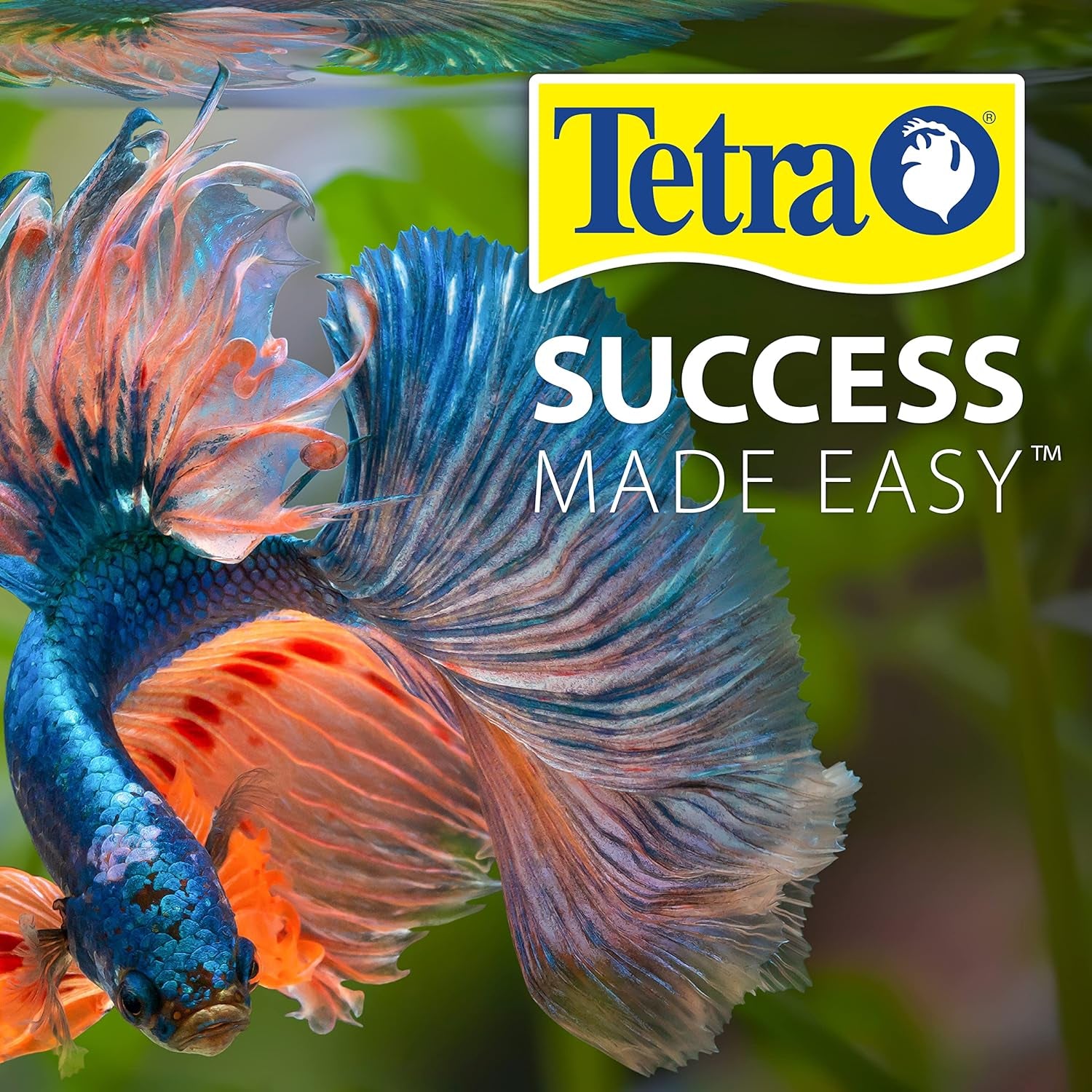 Tetra No More Algae Tablets, 8 tablets, Controls Algae in Aquariums