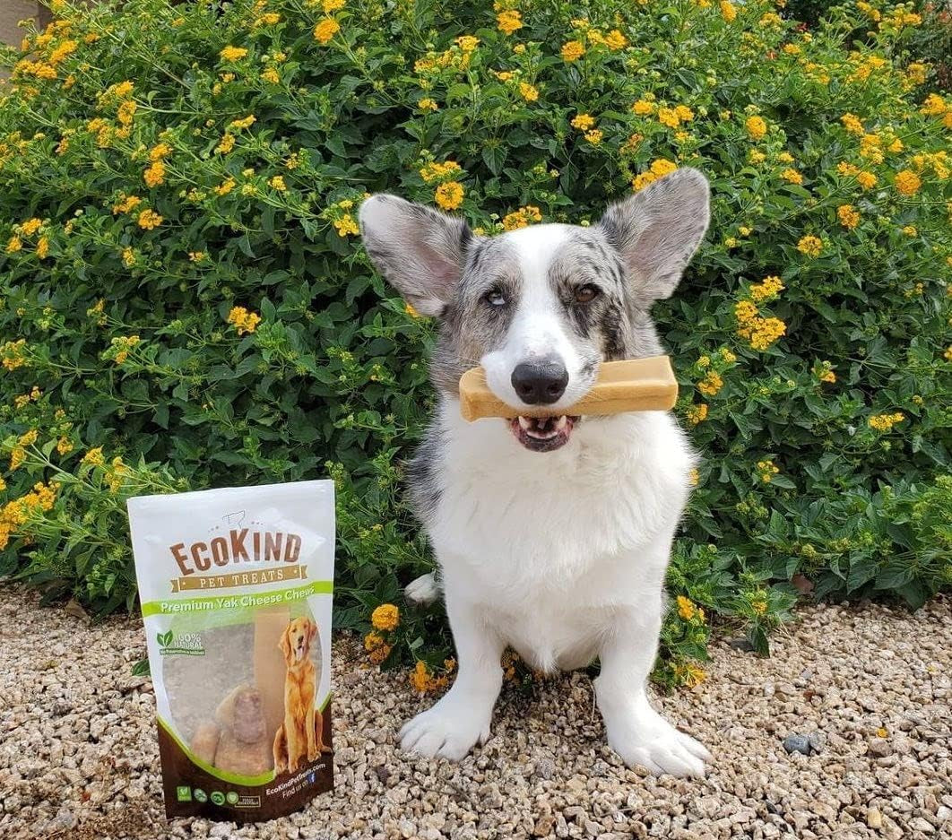 EcoKind Pet Treats Premium Gold Himalayan Yak Cheese, Gluten Free, Lactose Free, All Natural Chews for Small to Large Dogs | Keeps Dogs Busy & Enjoying, Indoors & Outdoor Use, 1 lb. Bag