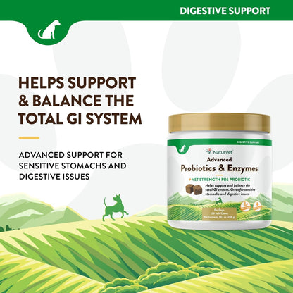 Naturvet – Digestive Enzymes - plus Probiotics & Prebiotics – Helps Support Diet Change & a Healthy Digestive Tract – for Dogs & Cats (Chewable Tablets, 60 Count)