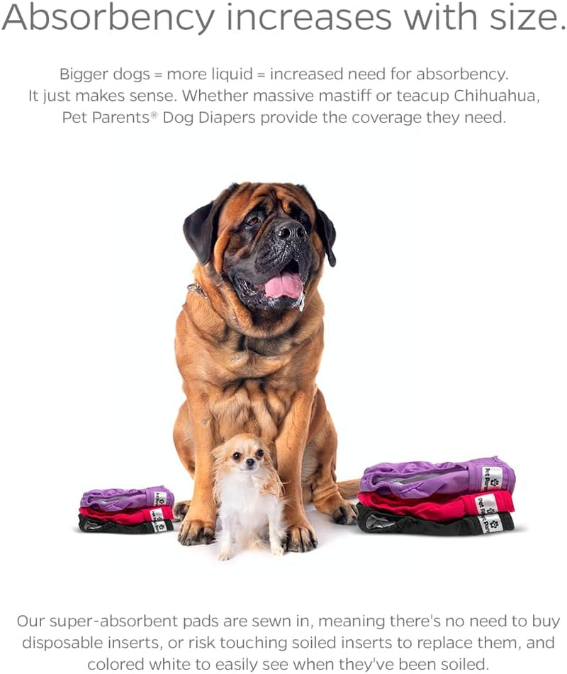 Pet Parents Washable Dog Diapers (3Pack) of Durable Doggie Diapers, Premium Female Dog Diapers (Samba, X-Small)