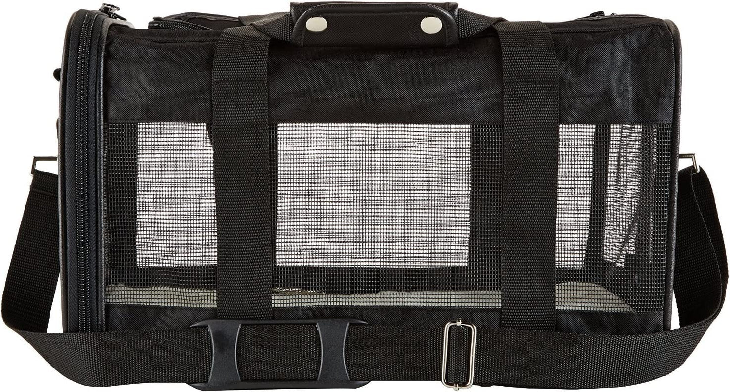 Amazon Basics Soft-Sided Mesh Pet Travel Carrier for Dog, Cat, Medium, 16.5" L x 9.4" W x 9.8" H, Black