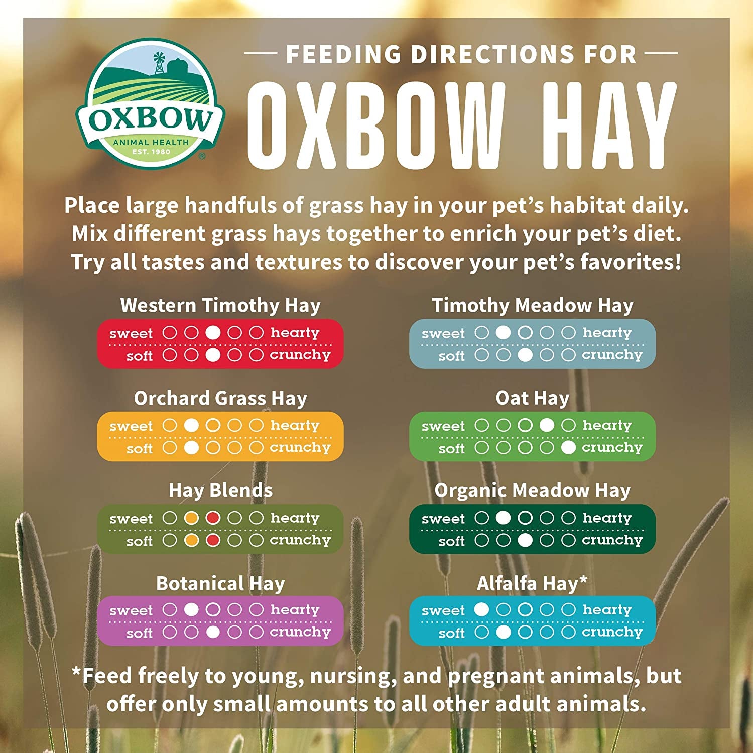 Oxbow Animal Health Oxbow Hay Blends - Western Timothy & Orchard - 90 oz.