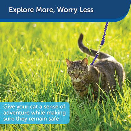 Petsafe Come with Me Kitty Harness and Bungee Leash, Harness for Cats, Medium, Royal Blue/Navy