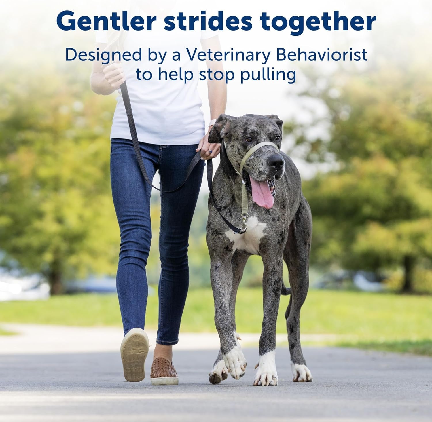 Petsafe Gentle Leader No-Pull Dog Headcollar - the Ultimate Solution to Pulling - Redirects Your Dog'S Pulling for Easier Walks - Helps You Regain Control - Medium, Charcoal