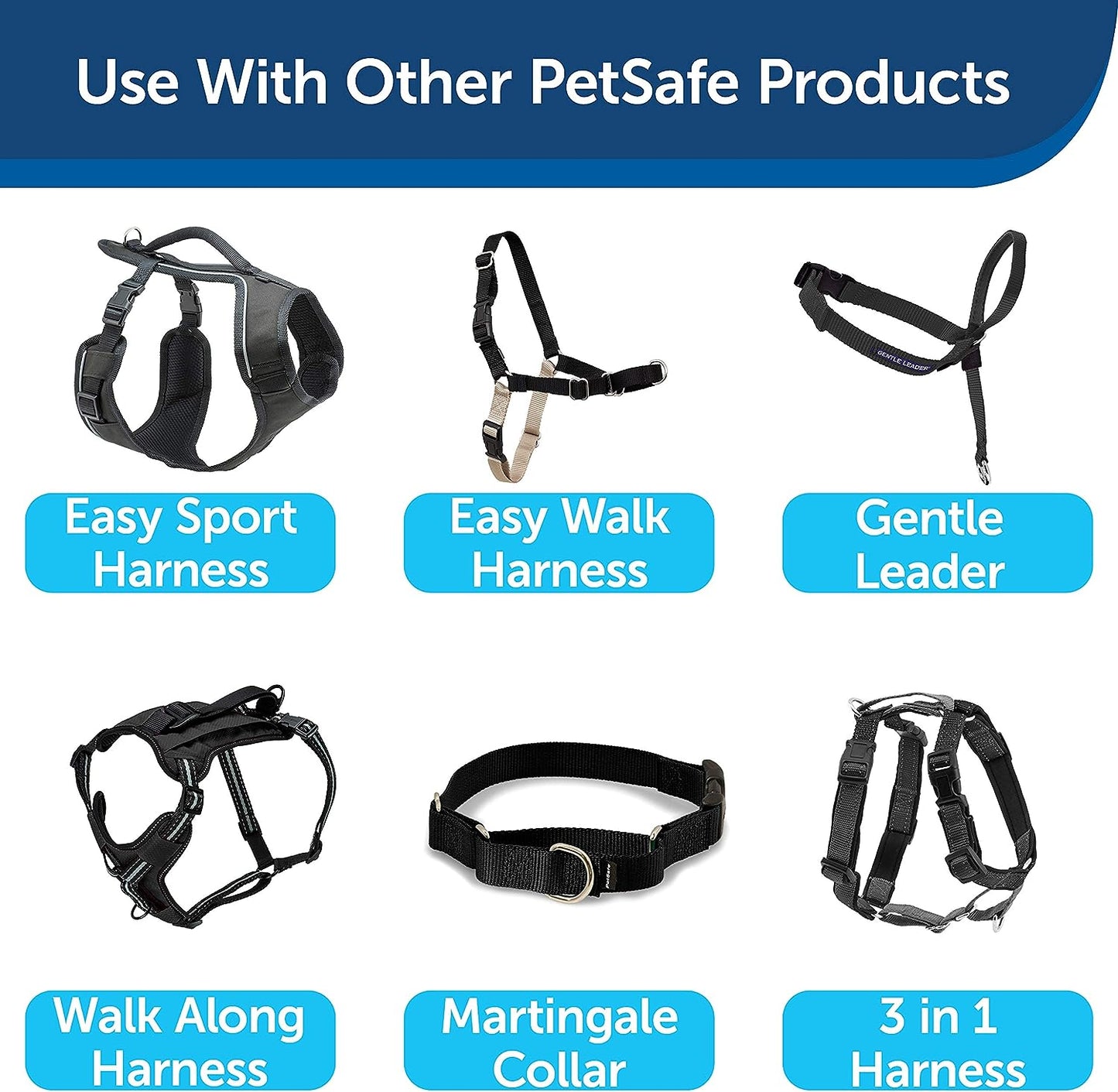 Petsafe Nylon Dog Leash - Strong, Durable, Traditional Style Leash with Easy to Use Bolt Snap - 1 In. X 4 Ft., Royal Blue