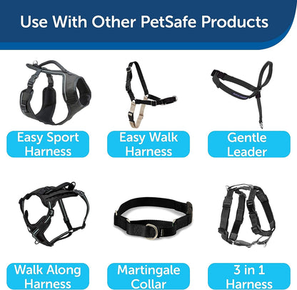 Petsafe Nylon Dog Leash - Strong, Durable, Traditional Style Leash with Easy to Use Bolt Snap - 1 In. X 4 Ft., Royal Blue