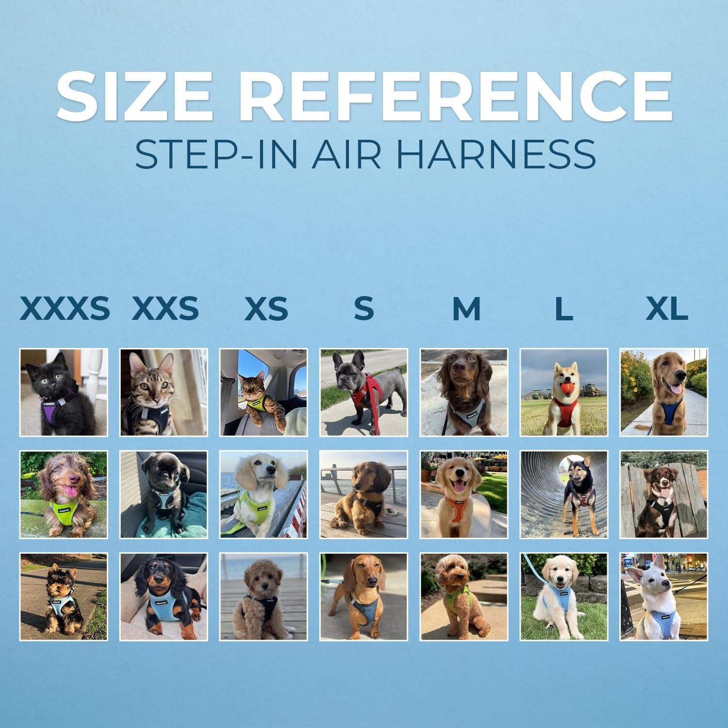 Voyager Step-In Air Dog Harness - All Weather Mesh Step in Vest Harness for Small and Medium Dogs and Cats by Best Pet Supplies - Harness (Pink), S (Chest: 14.5-16")