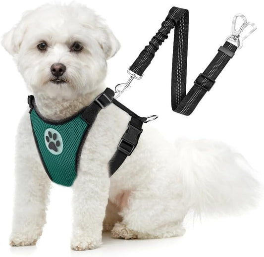 Slowton Dog Seat Belt Harness for Car, Dog Car Harness Adjustable Mesh Breathable & Dog Seatbelt Safety Tether with Elastic Bungee for Small Medium Large Pets(Green, Double Clip, XXXS)