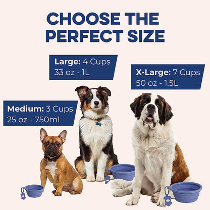 Large Collapsible Dog Bowl 1000 Ml, Sturdy Reinforced Rim, Includes Carabiner & Water Bottle Holder Keychain