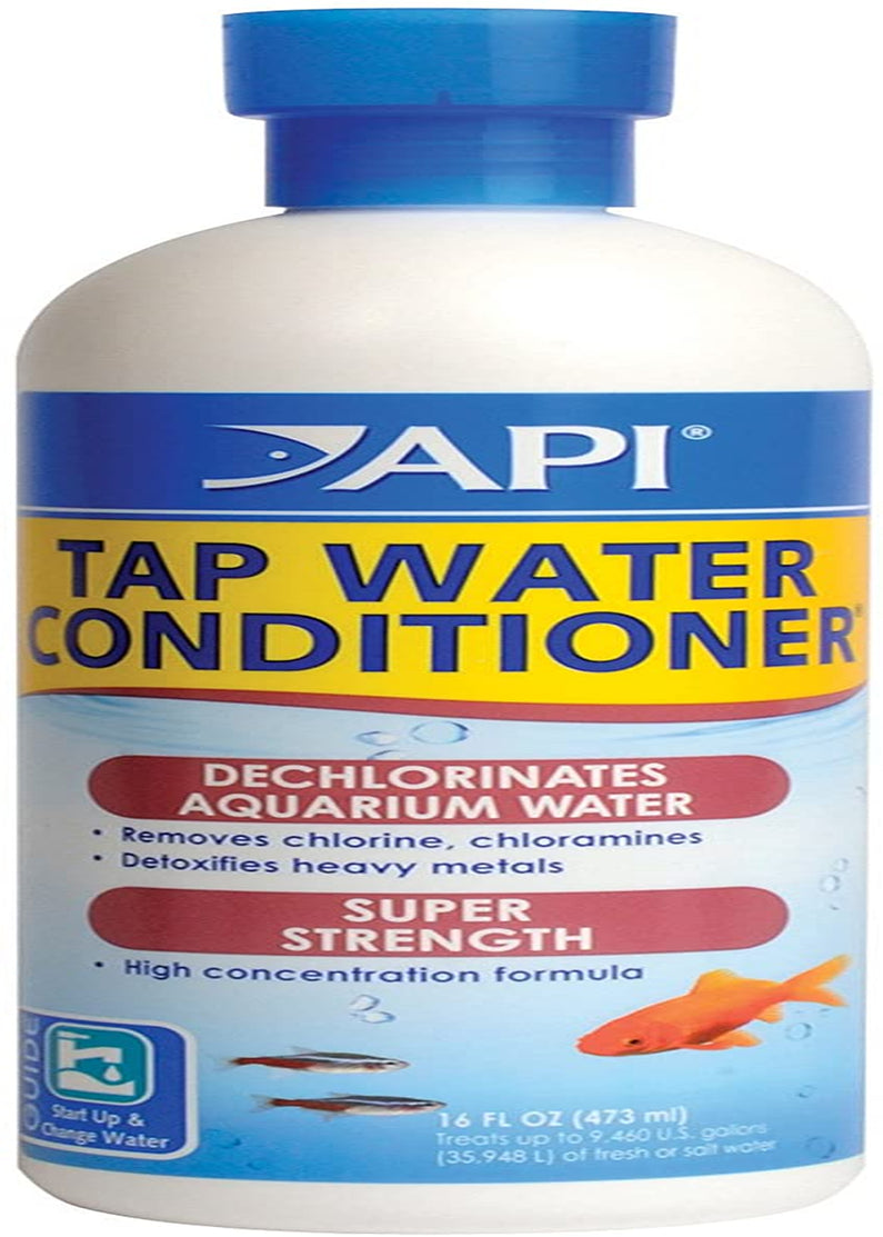 API TAP WATER CONDITIONER Aquarium Water Conditioner 16-Ounce Bottle