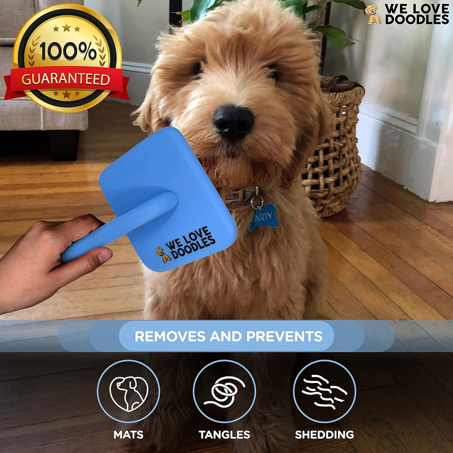 We Love Doodles Dog Slicker Brush for Grooming Pet Hair - Best Brushes for Poodle & Golden Doodle - Long Haired Brush for Dogs - Goldendoodle Long Pin Brush for Dematting (Medium Curved)