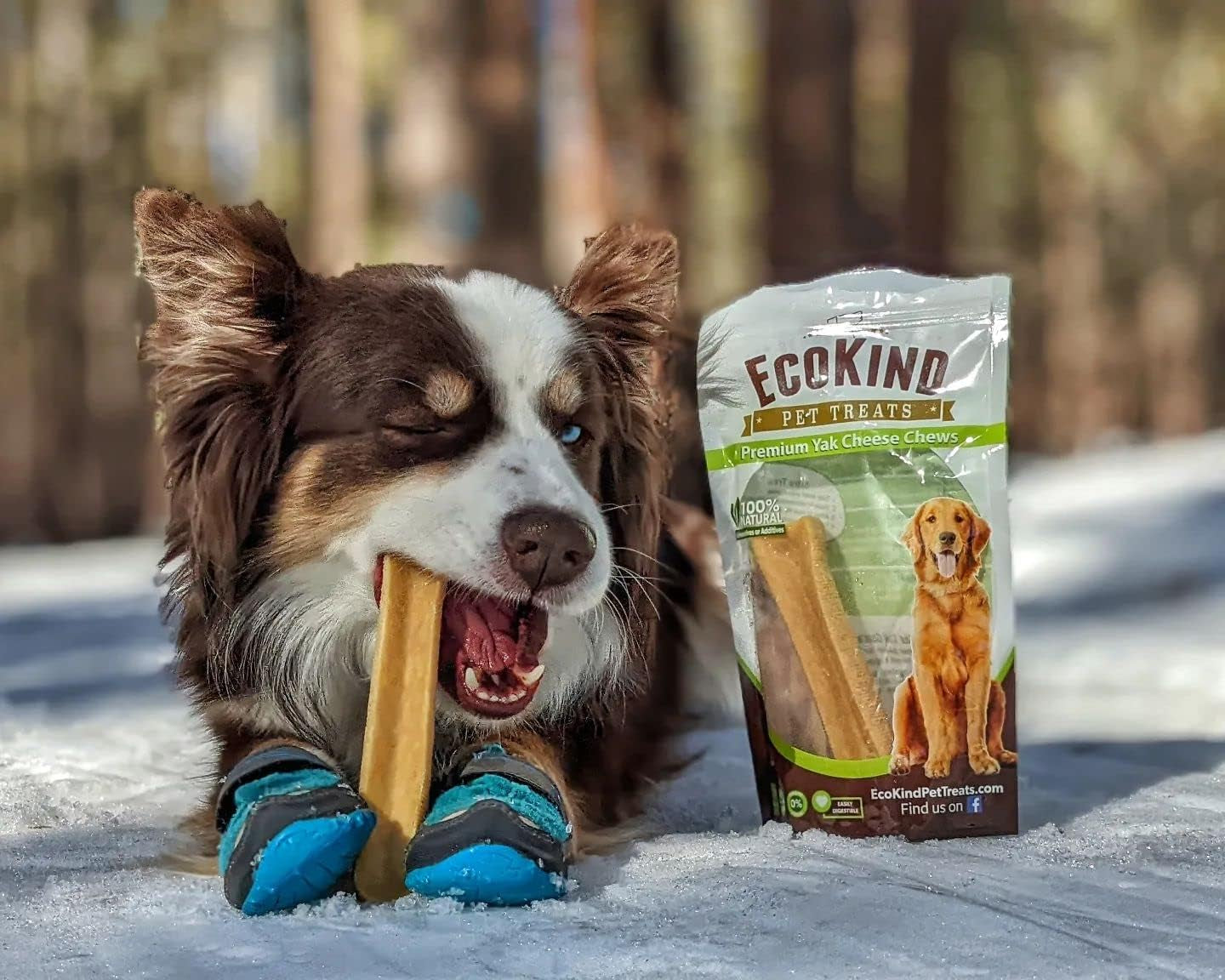 EcoKind Pet Treats Premium Gold Himalayan Yak Cheese, Gluten Free, Lactose Free, All Natural Chews for Small to Large Dogs | Keeps Dogs Busy & Enjoying, Indoors & Outdoor Use, 1 lb. Bag