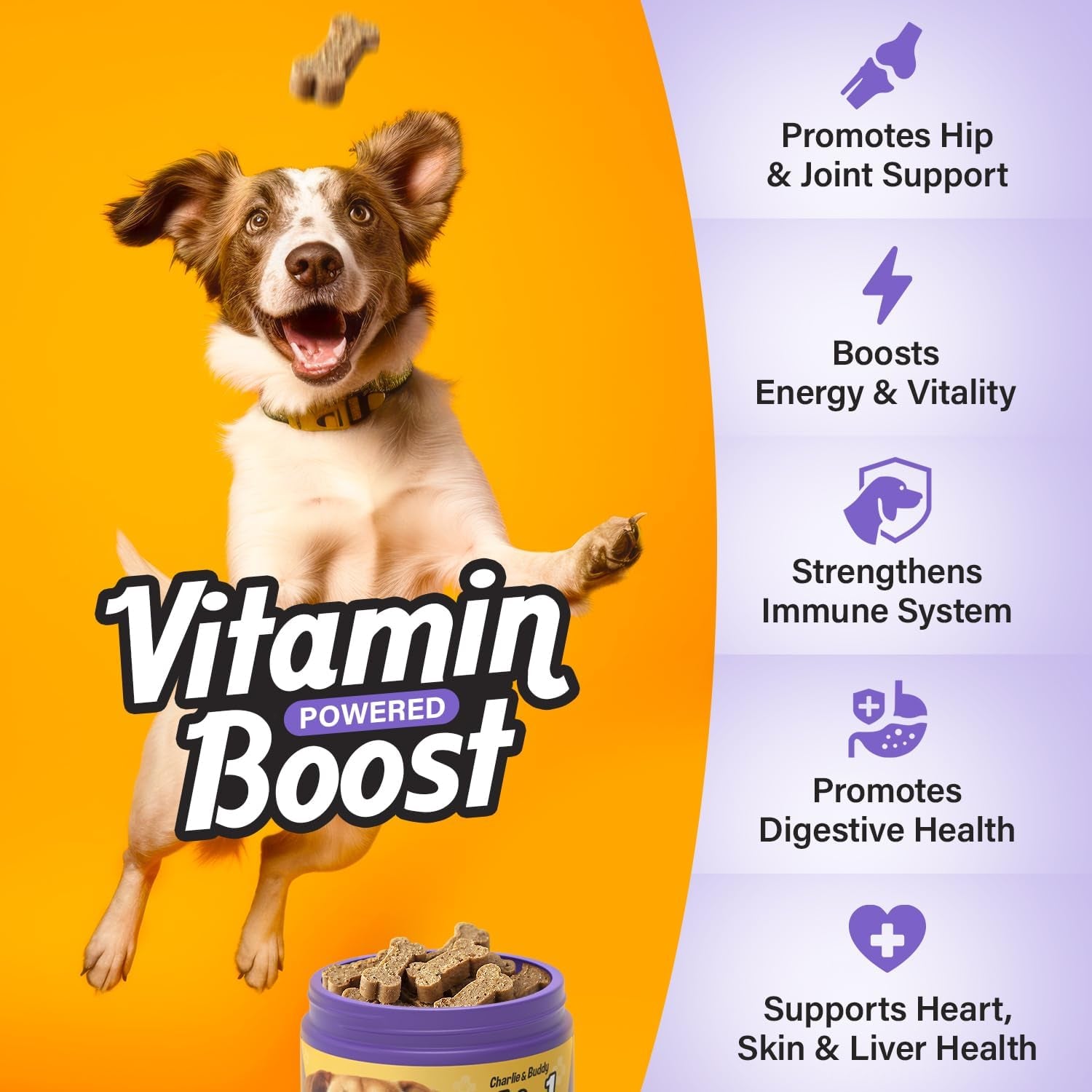 Charlie & Buddy Dog Multivitamin 21 in 1 - Dog Vitamins and Supplements with Vitamin C Multivitamin for Dogs - Chicken Flavour Dog Vitamins Soft Chews - 90ct